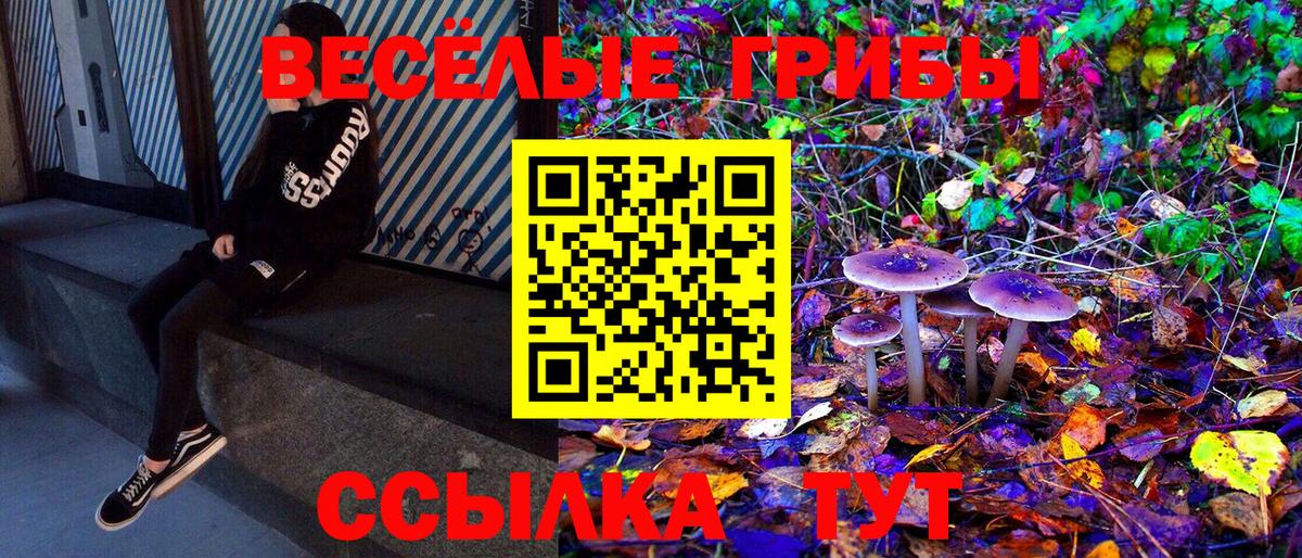 Псилоцибиновые грибы Magic Shrooms Троицк
