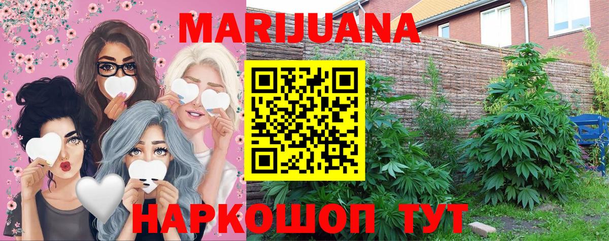 Конопля OG Kush Троицк